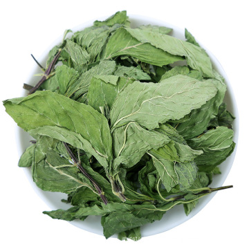 Factory direct sales High purity medicinal material natural fragrance mint leaves Chinese herbal medicine Expectorant